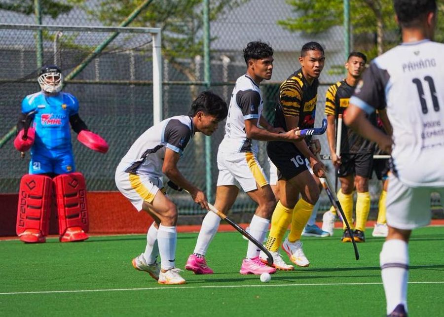 Young Elephants Pahang